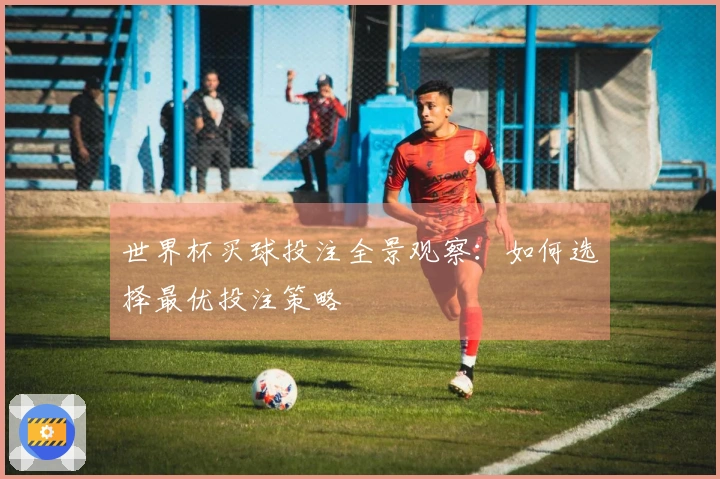 世界杯买球投注全景观察：如何选择最优投注策略