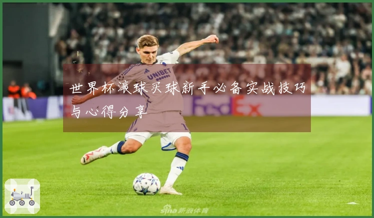 世界杯滚球买球新手必备实战技巧与心得分享