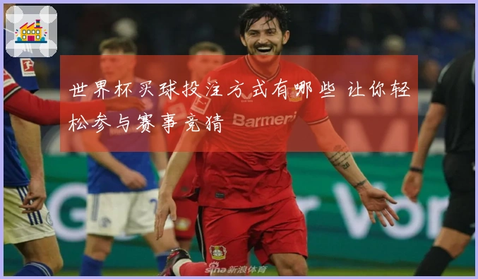 世界杯买球投注方式有哪些 让你轻松参与赛事竞猜