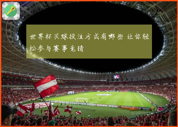 世界杯买球投注方式有哪些 让你轻松参与赛事竞猜