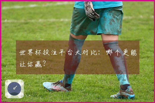 世界杯投注平台大对比：哪个更能让你赢？