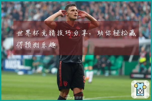 世界杯竞猜技巧分享，助你轻松赢得预测乐趣