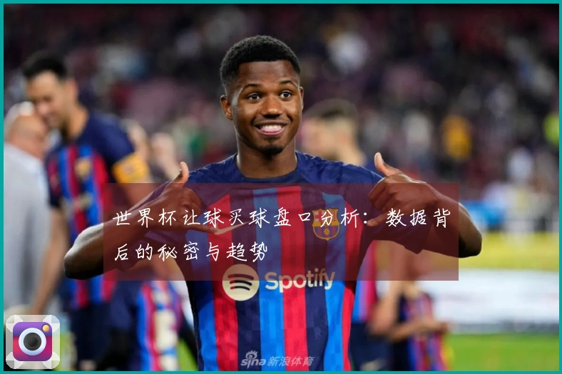 世界杯让球买球盘口分析：数据背后的秘密与趋势