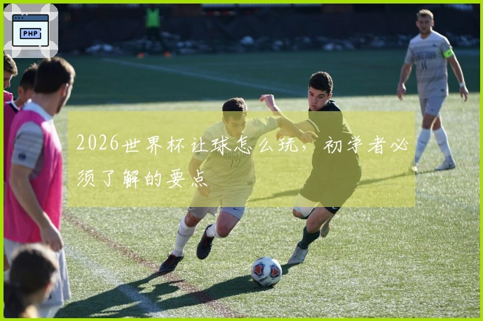 2026世界杯让球怎么玩，初学者必须了解的要点